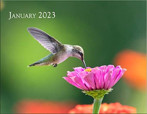 Trogography Hummingbirds 2023 לוח הקיר | לוח שנה יפה של חיות הבר, רב צבעוני